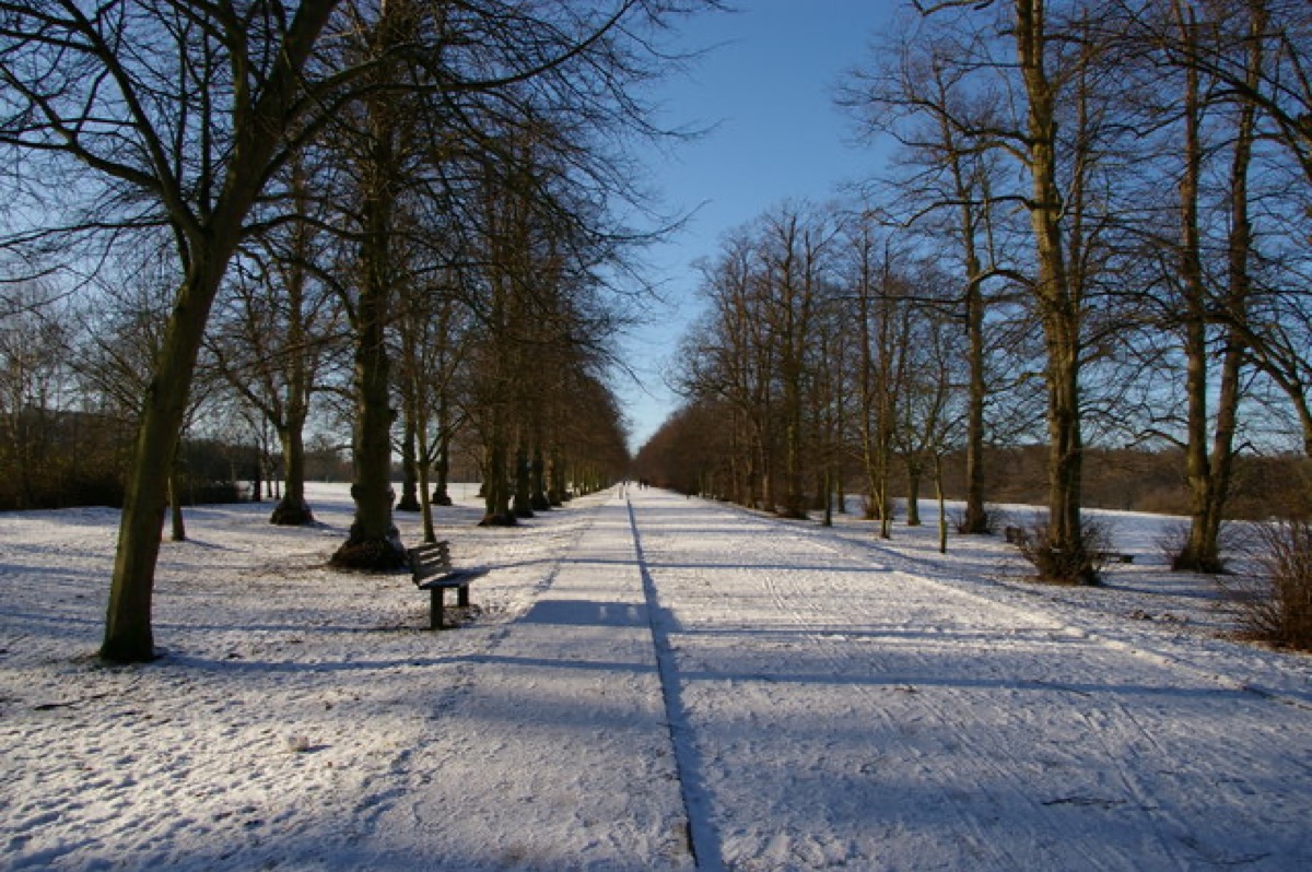 Trent Park, London